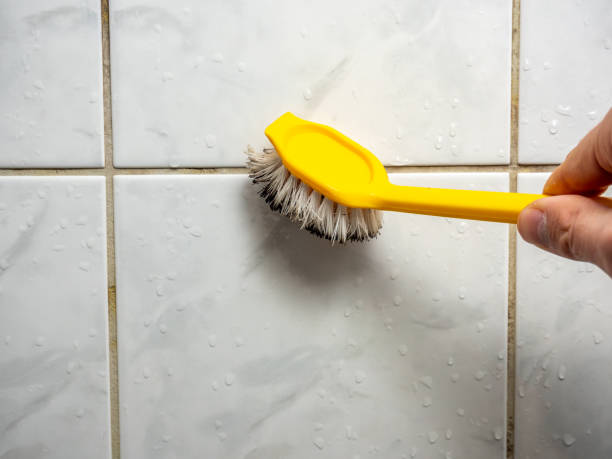 Best Preventive Mold Services in Hinckley, MN