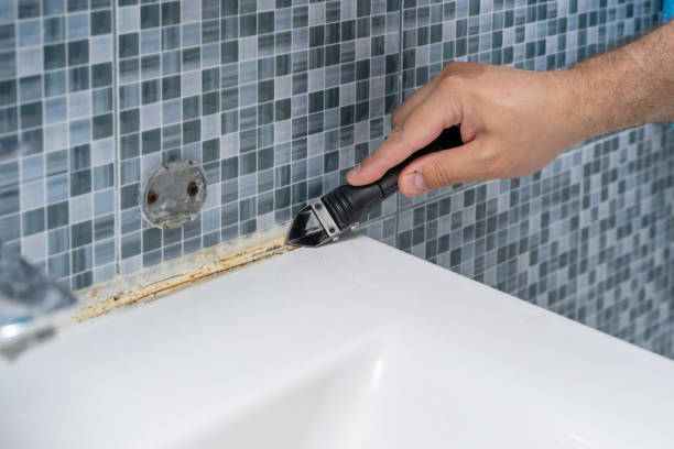 Professional Mold Remediation in Hinckley, MN
